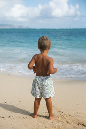 Kaiwi Boardies (Fern Hibiscus)
