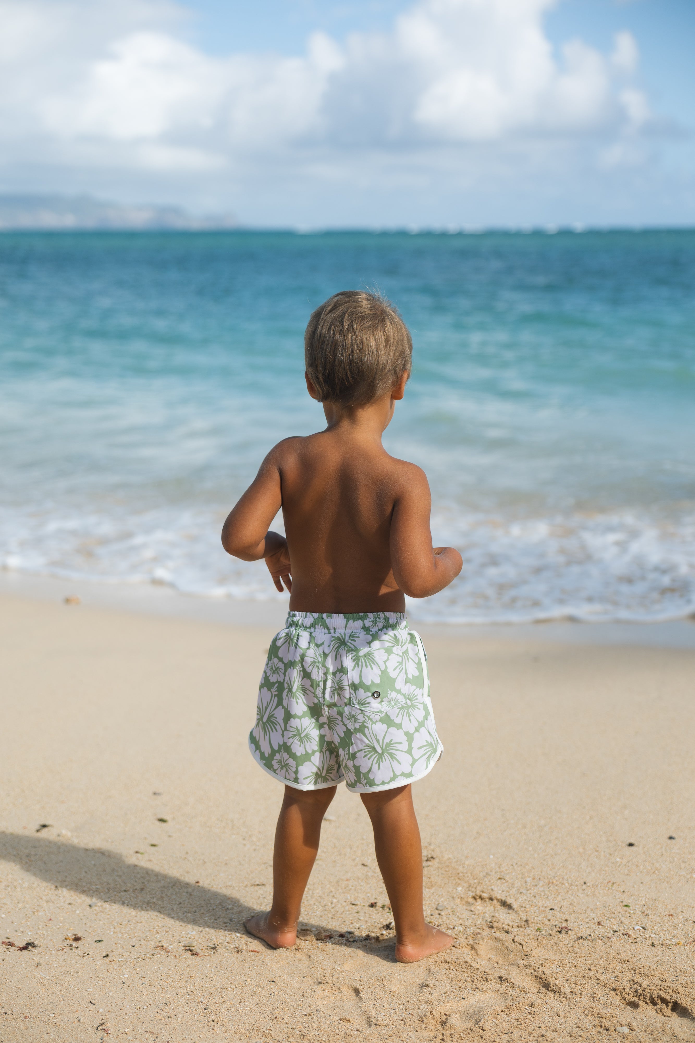Kaiwi Boardies (Fern Hibiscus)