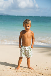 Kaiwi Boardies (Fern Hibiscus)