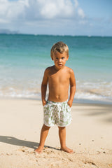 Kaiwi Boardies (Fern Hibiscus)