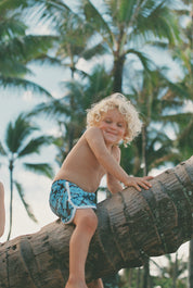 Kaiwi Boardies (Lagoon Hibiscus Reversible Bloom)