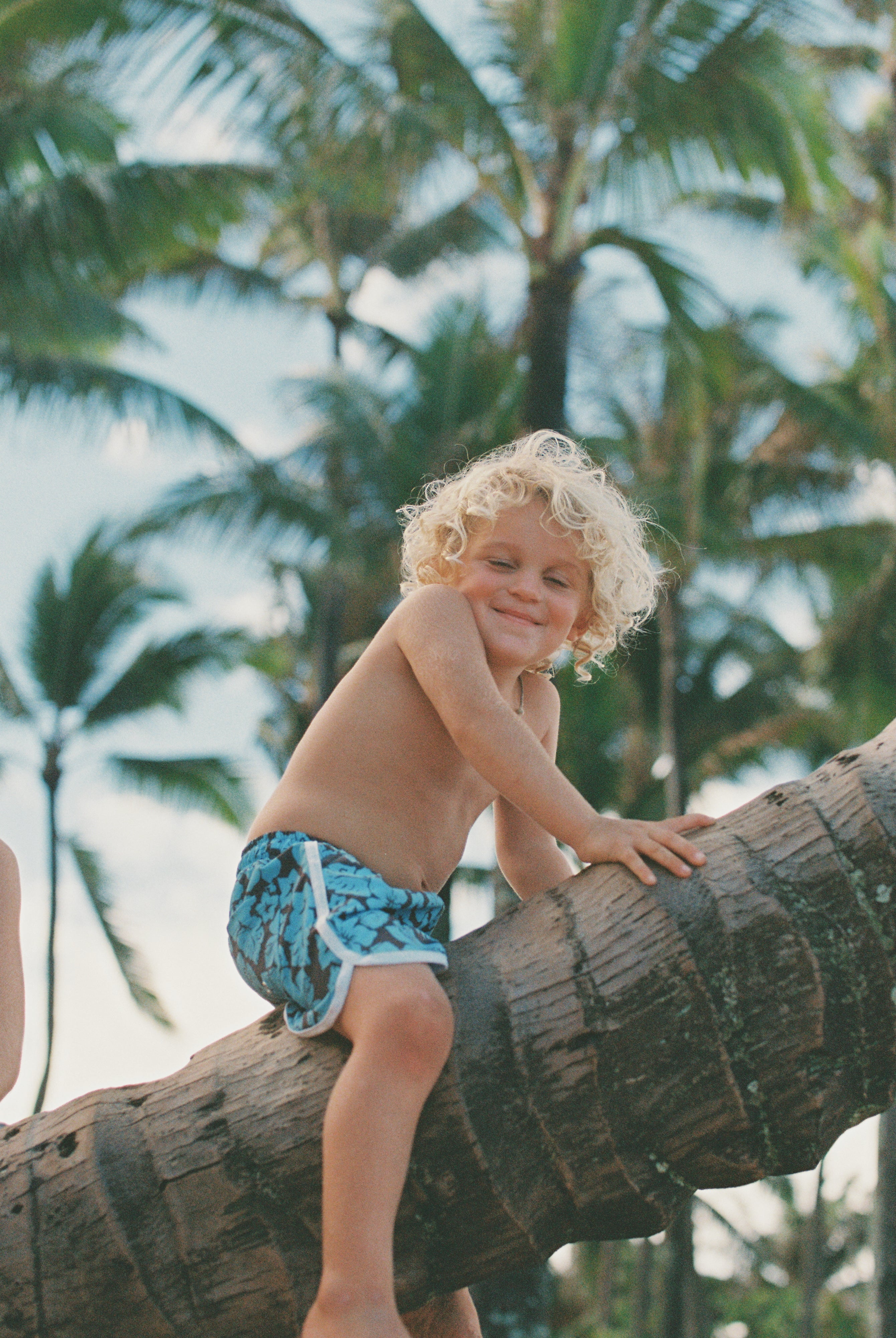 Kaiwi Boardies (Lagoon Hibiscus Reversible Bloom)