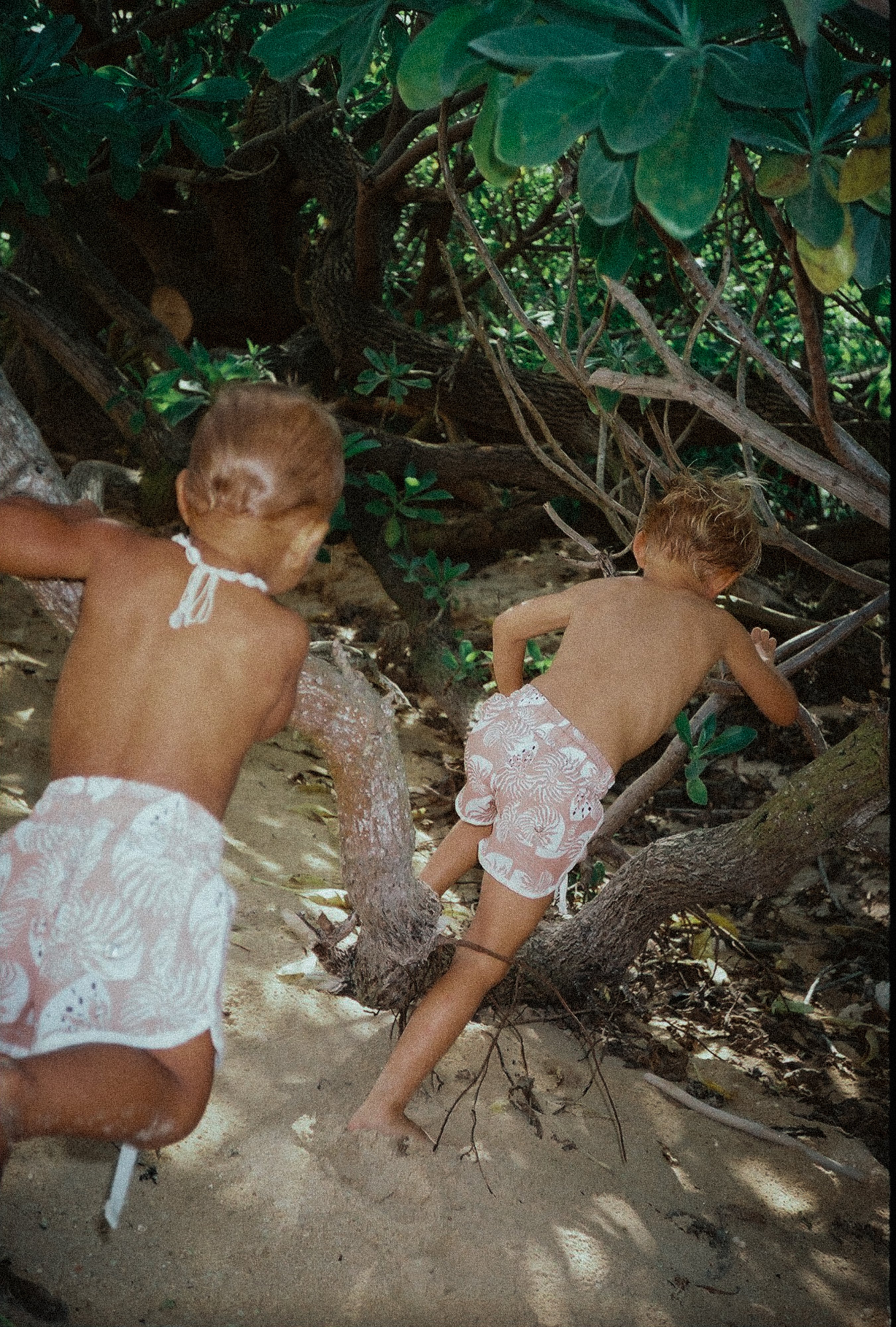 Kaiwi Boardies (Nautilus)